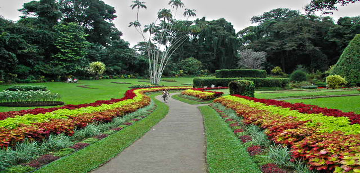 Hukgala Garden