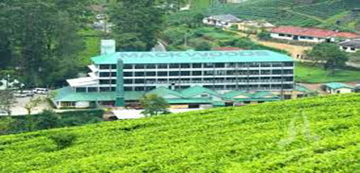 Labookellie Tea Estate