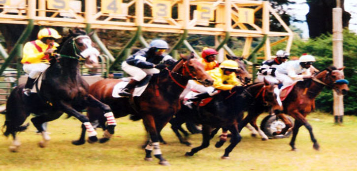 Nuwara Eliya Race Course